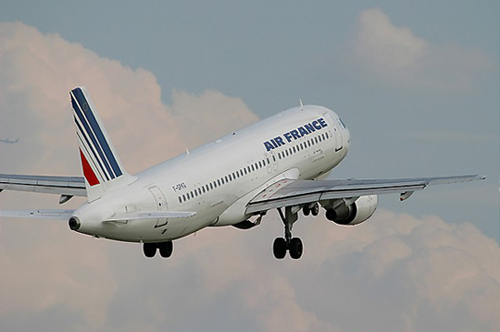 L'Airbus A320-111 F-GFKG piloté par Duboc lors de l'observation, ici le mercredi 27 juillet 2005 à Frankfurt (Allemagne) s1Airliners