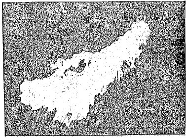 A strange display of celestial fire, not unlike the one described by Bishop John S. Michaud at Burlington, Vt., is here reproduced from a photograph