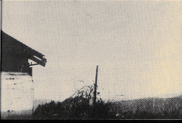 Lignes électriques loom up une nouvelle fois dans la célèbre photo du fermier Paul Trent d'un ovni dans sa ferme à    McMinnville (Oregon). La photo fut prise au Printemps 1950 s8UPI.